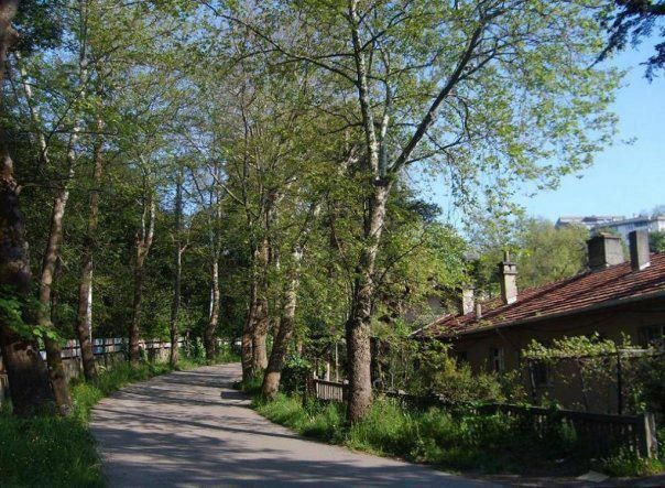 AKÇAKOCA ZONGULDAK DEVREK TURU 2 GÜNLÜK