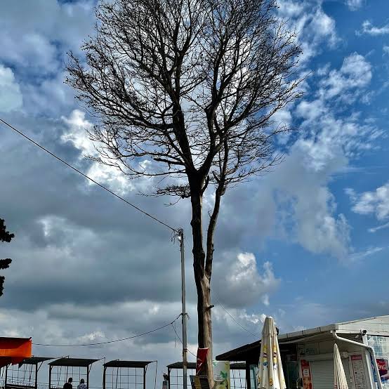 AMASRA ÇAKRAZ SAFRANBOLU TURU 2 GÜNLÜK