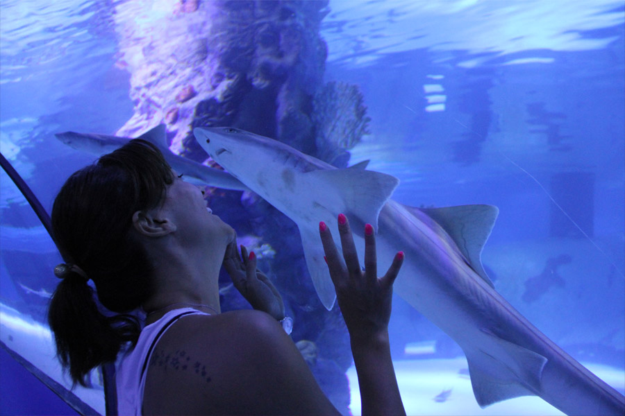 AQUARIUM AKVARYUM TURU