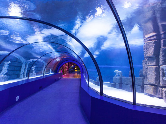AQUARIUM AKVARYUM TURU