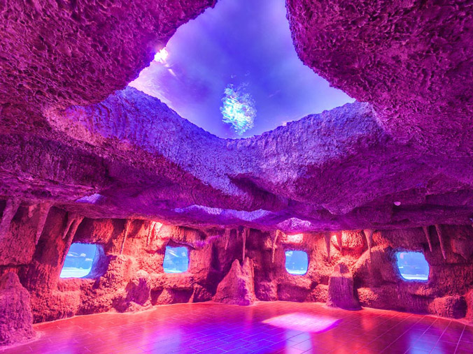 AQUARIUM AKVARYUM TURU