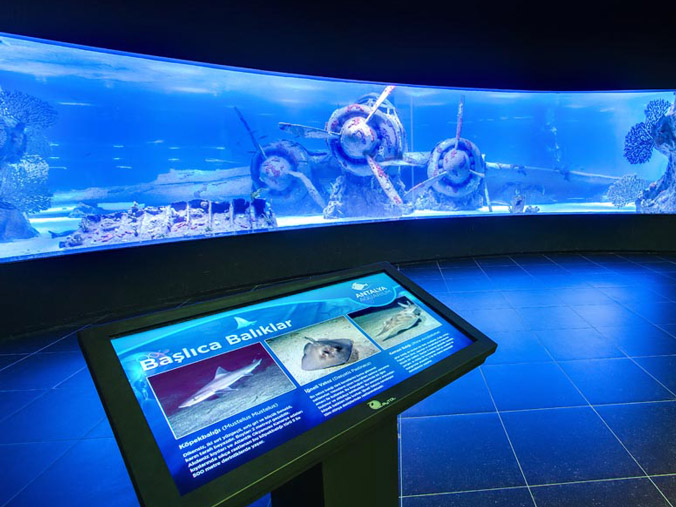 AQUARIUM AKVARYUM TURU