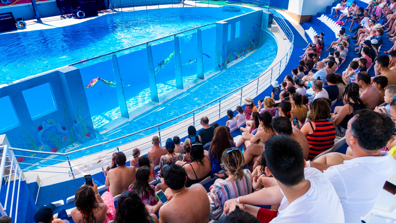 DOLUSUPARK AQUAPARK TURU
